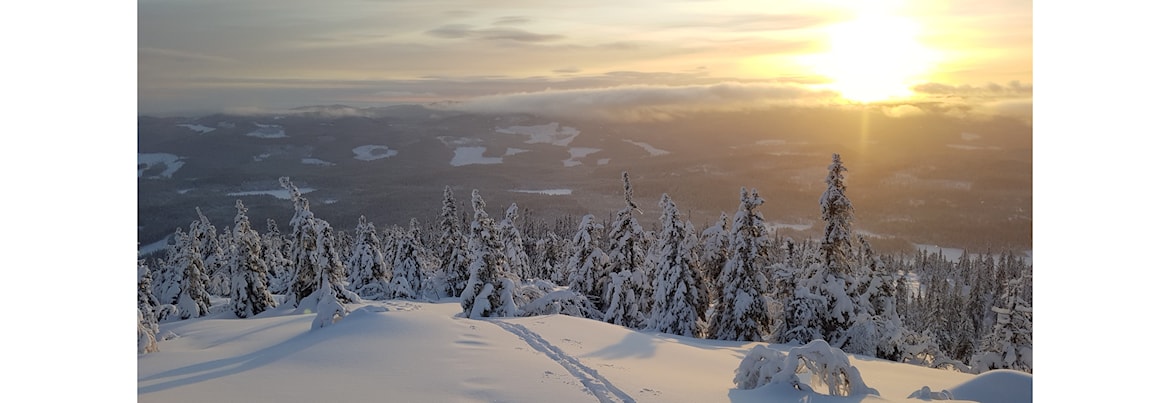 Ti på Topp Vinter Oslo og Akershus